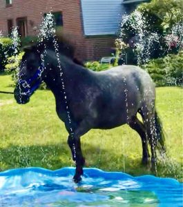 Dominique Gets a Wading Pool