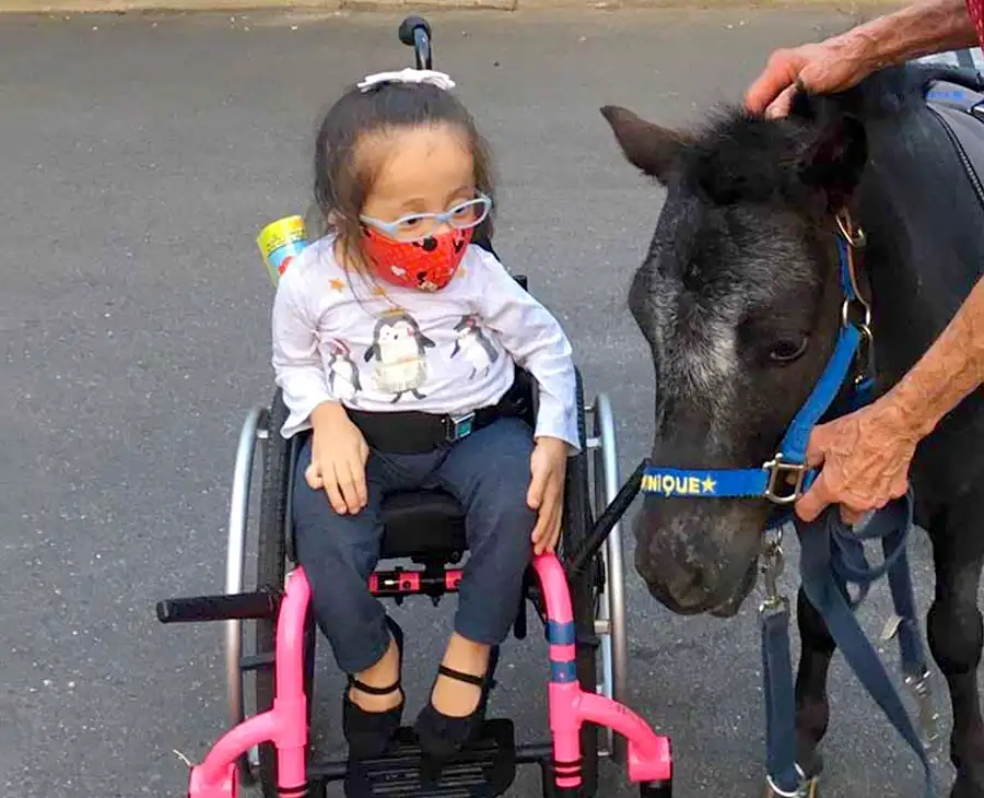Dominique's Smiles - to bring joy to those suffering