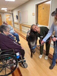 There’s something truly special about a Dominique Smiles visit—it’s more than just a moment, it’s an experience! From the second he arrives, the energy shifts. His presence brings warmth, positivity, and a genuine connection that’s hard to put into words. Thank you to Sandy Smith, his owner for bringing him in to make more memories here at Inners Creek🥰