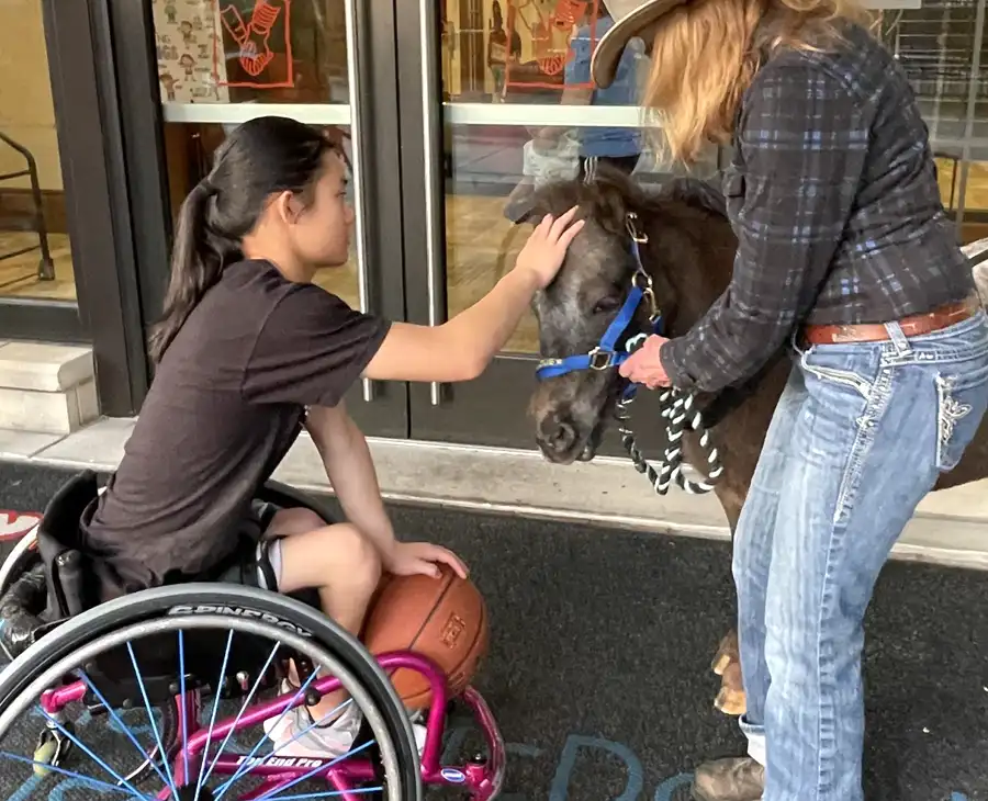 Contact the people who care for Dominique