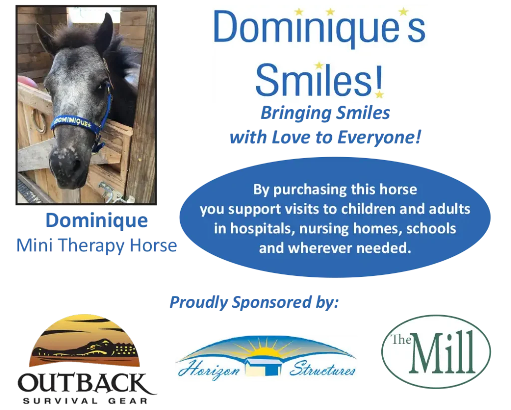 Dominique Smiles tag the goes on plush