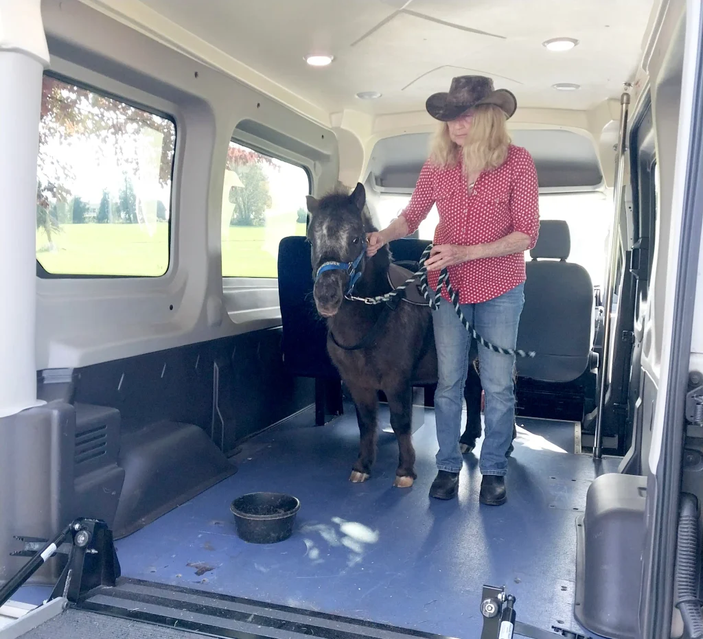 Dominique inside his new van. We need a new wooden stall to be created.
