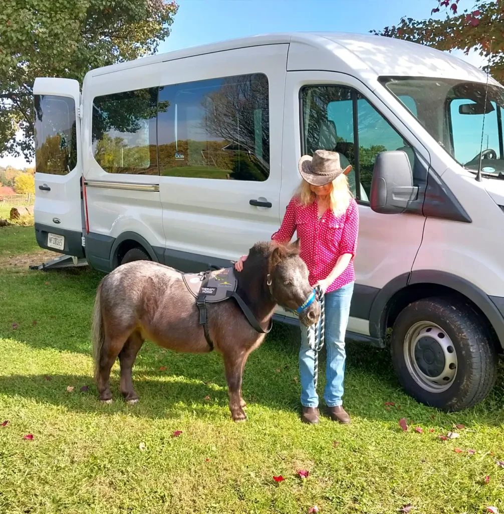 Help Dominique Get Back on the Road